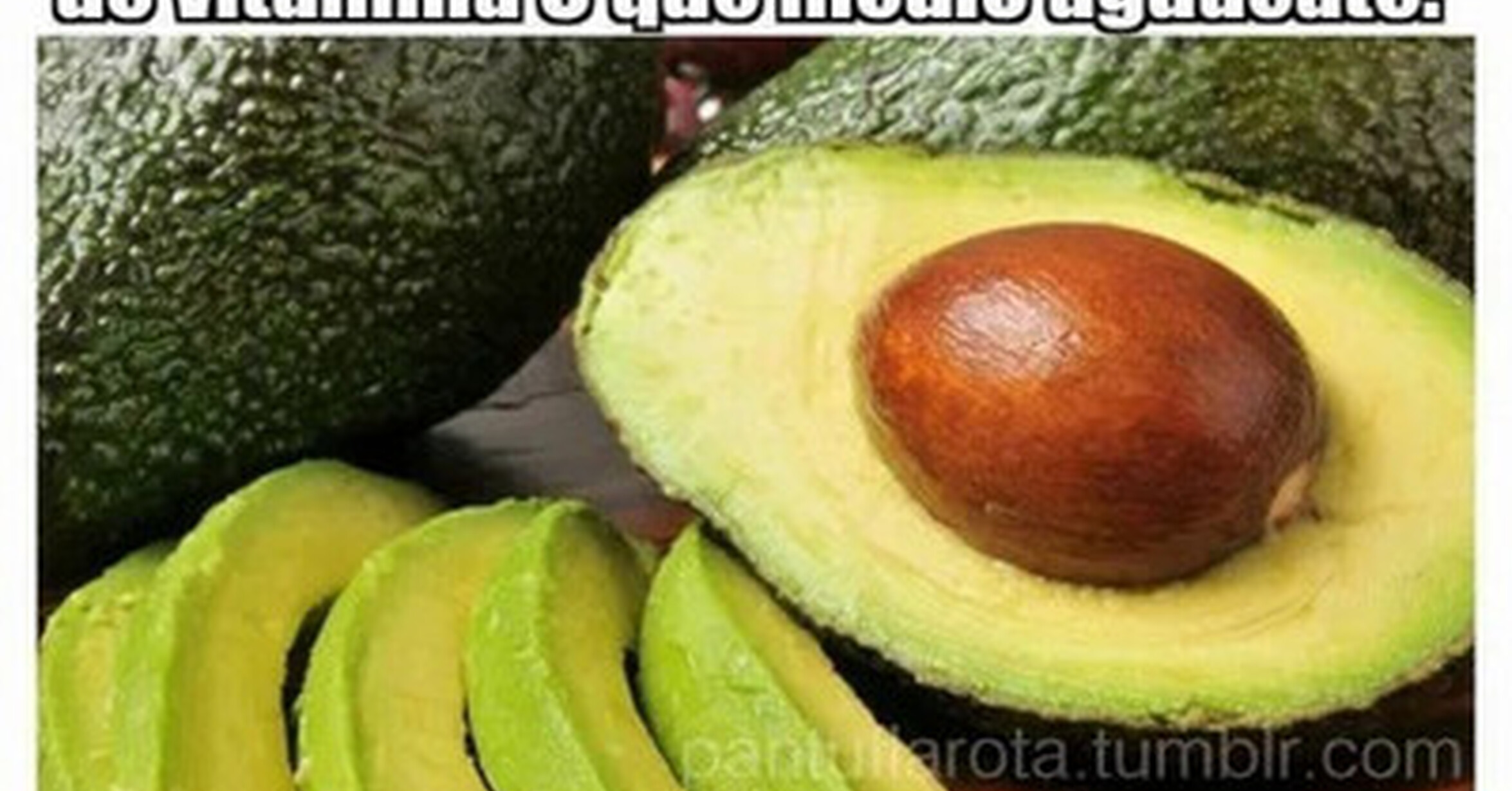 сорта авокадо фото и названия
