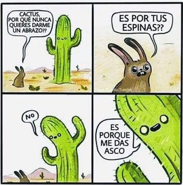 Meme_otros - La sinceridad de los cactus