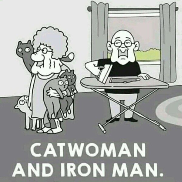 catwoman,gatos,héroes,hombre,ironman,mujer,plancha