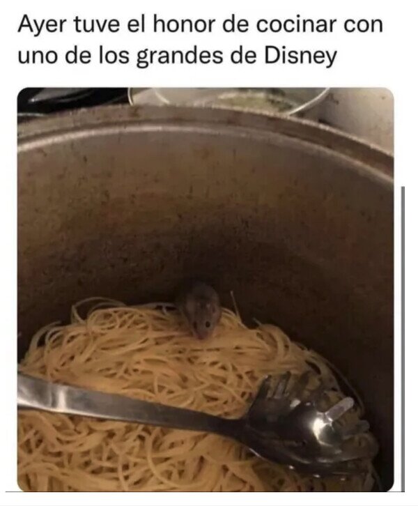 Meme_otros - Ratatouille en la vida real