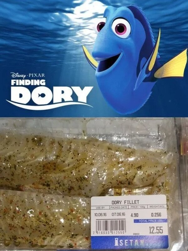 buscando,Dory,encontrar,Nemo,pescado