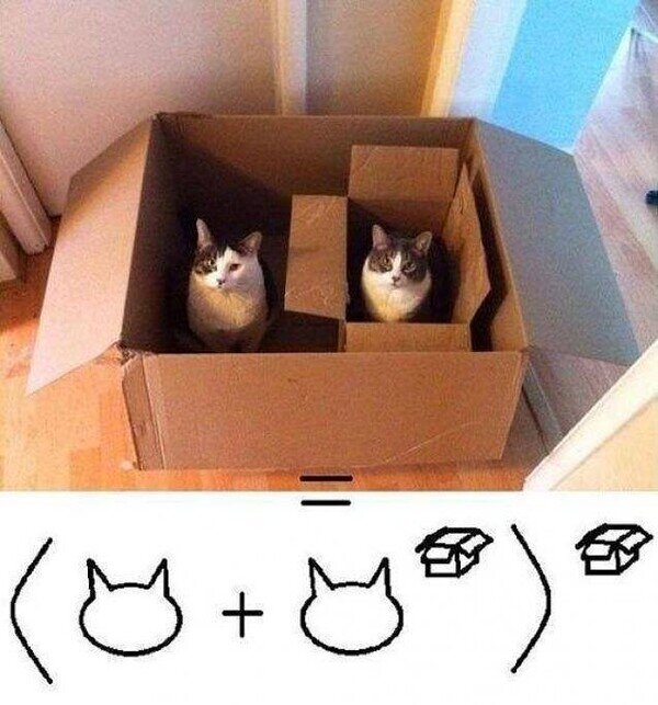 cajas,formula,gatos