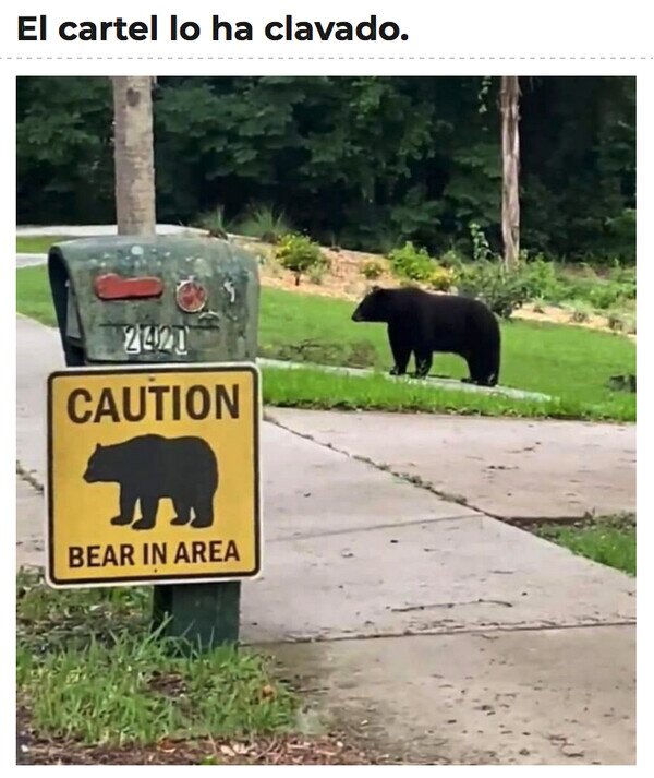 cartel,oso,peligro