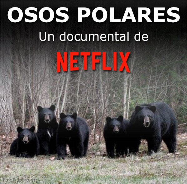 documental,Netflix,osos,pardos,poalres