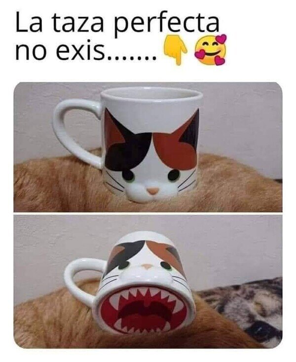 Meme_otros - La taza gato
