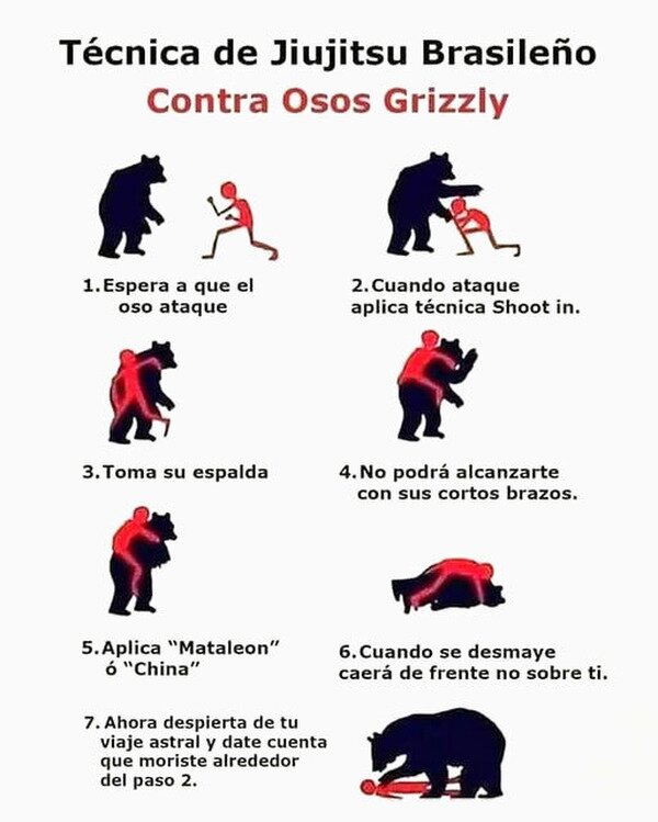 Meme_otros - Cómo sobrevivir a un oso grizzly