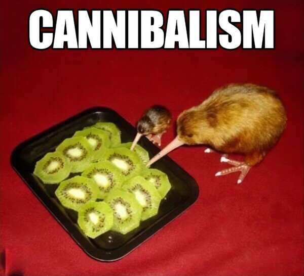 A_nadie_le_importa - Canibalismo animal