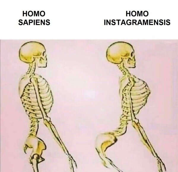 chicas,columna,espalda,esqueleto,homo sapiens,instagram