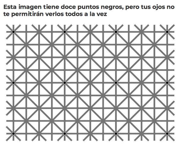 ilusión,negros,óptica,puntos,ver