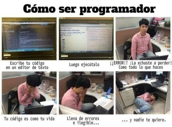 Meme_otros - La vida del programador