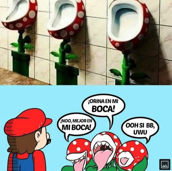 bocas,Mario,urinarios