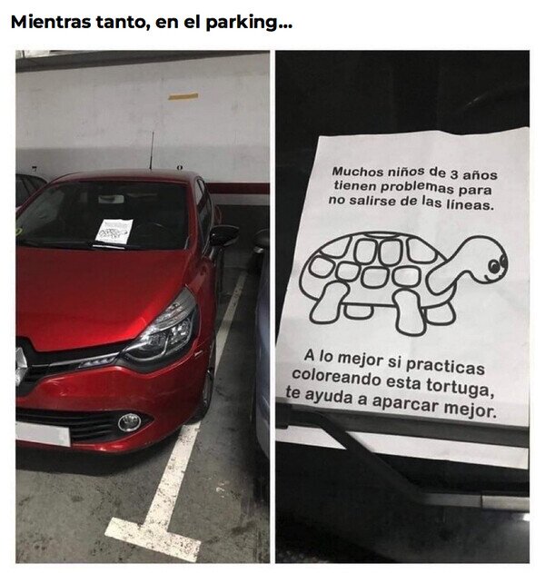 Oso_confesiones - Una tortuga en un parking