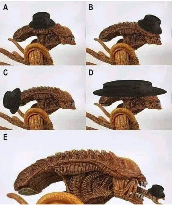 Meme_otros - ¿Cómo llevaría Alien un sombrero?
