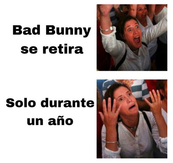 año,Bad Bunny,retirada