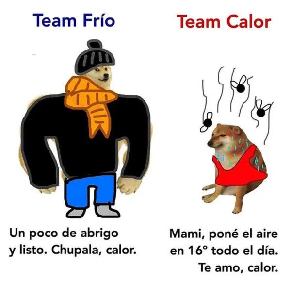 Meme_otros - ¿Team Frío o Team Calor?