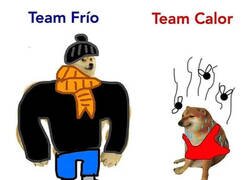 Enlace a ¿Team Frío o Team Calor?