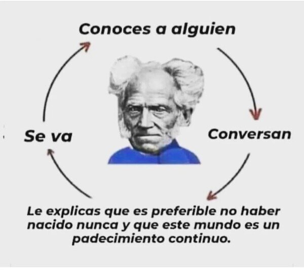 Meme_otros - Schopenhauer no era la persona más positiva