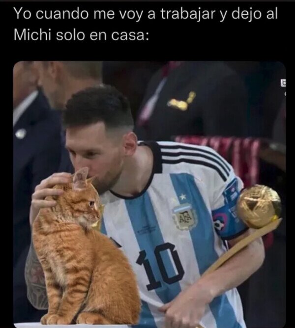 Argentina,gato,Messi,Mundial,trabajar