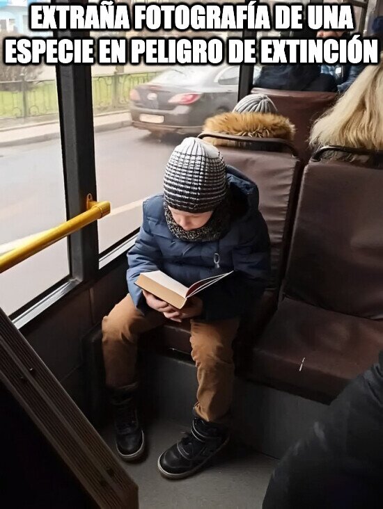 autobus,leyendo,niño