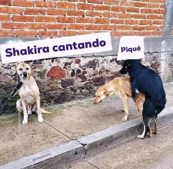 Meme_otros - Descripción gráfica del lío Piqué-Shakira