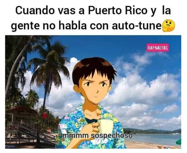 autotune,Puerto Rico,reggaeton