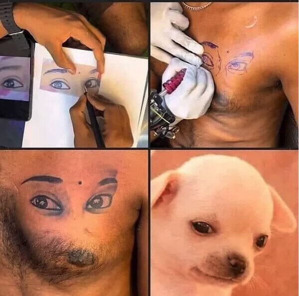 mirada,ojos,perro,pezón,tatuaje