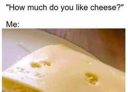 Enlace a ¿Cuánto te gusta el queso?