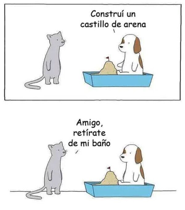arena,castillo,gato,perro