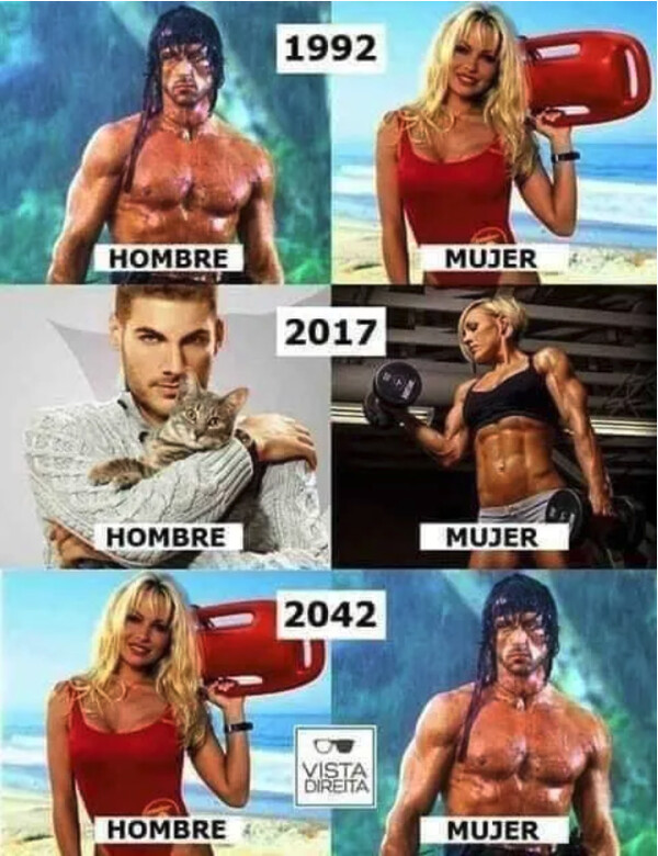 Meme_otros - La evolución de los géneros