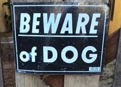 Enlace a ¡Cuidado con el perro!