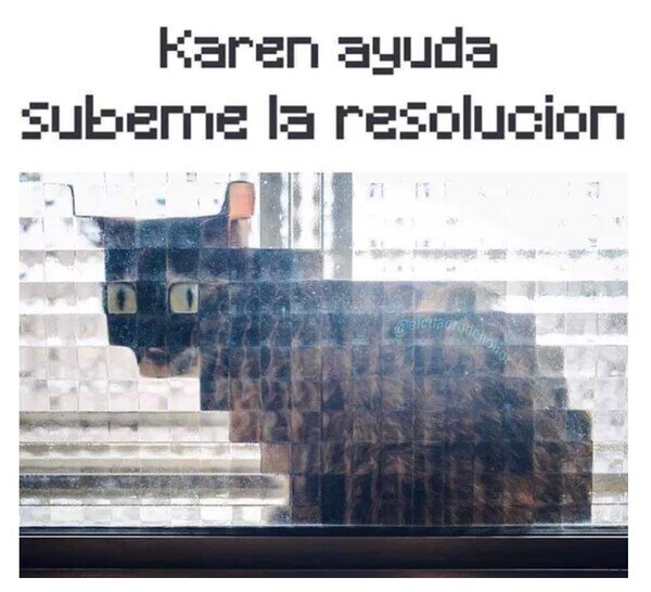 gato,pixel,resolución,ventana