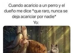 Cuánto cabrón / Dudas sobre el Arca de Noé