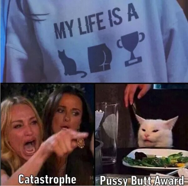 camiseta,catástrofe,gato,jeroglífico,vida