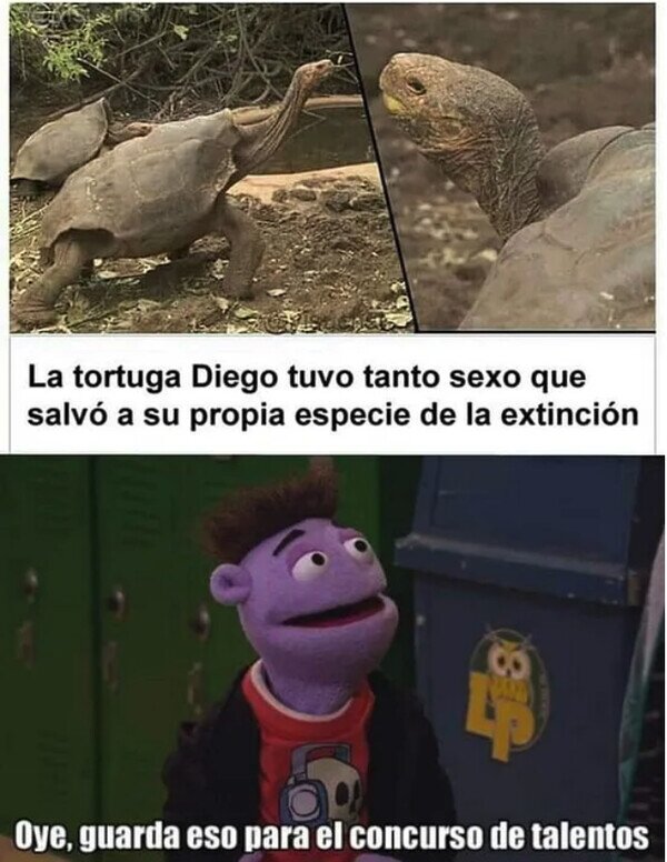 Diego,especie,héroe,sexo,tortuga