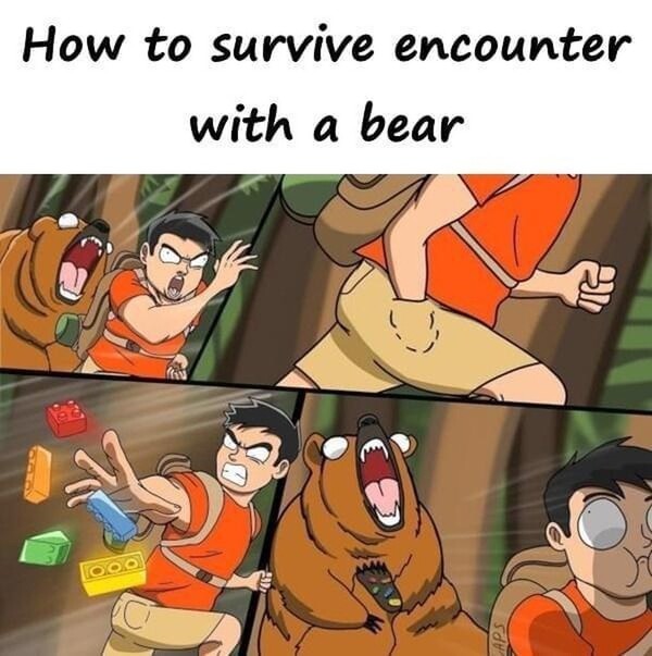 Meme_otros - Cómo sobrevivir al encuentro con un oso pardo