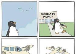 Enlace a El pingüino que quiso volar