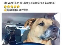 Enlace a Uber Dogs