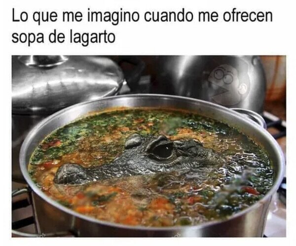 Meme_otros - Hay un lagarto en mi sopa