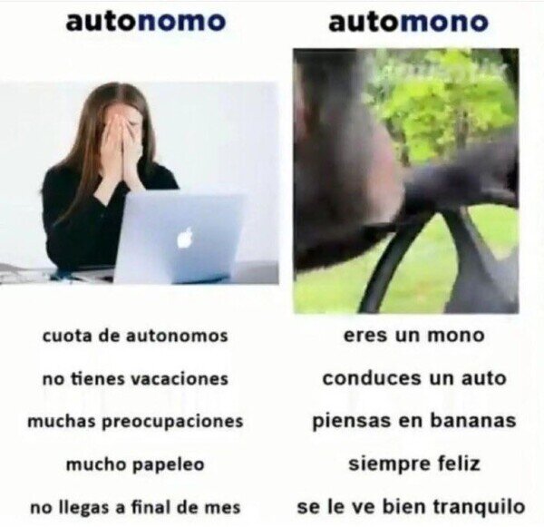auto,autonomo,mono