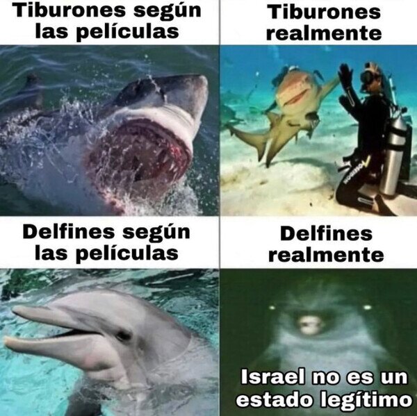 Meme_otros - Tiburones & Delfines