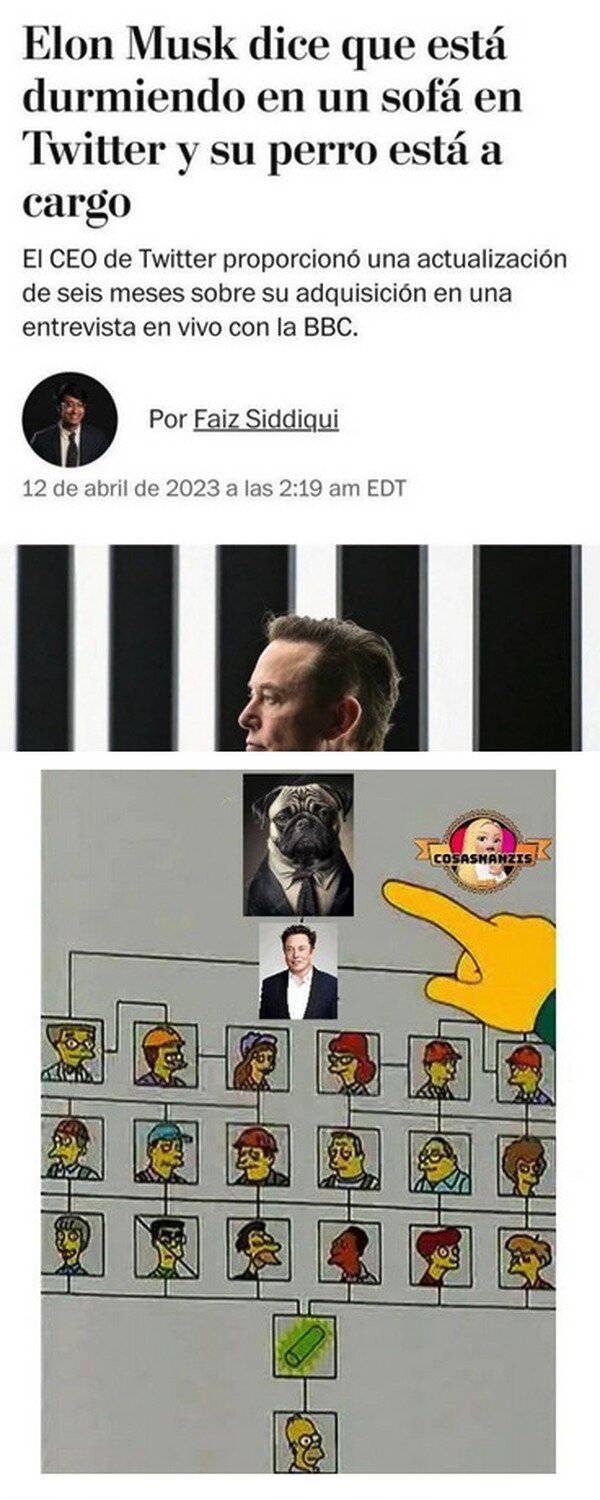 Elon Musk,empresa,perro,Twitter