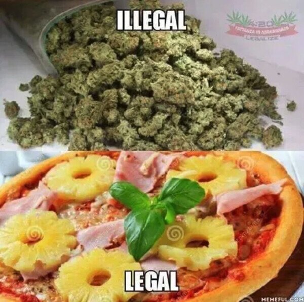 ilegal,legal,marihuana,piña,pizza