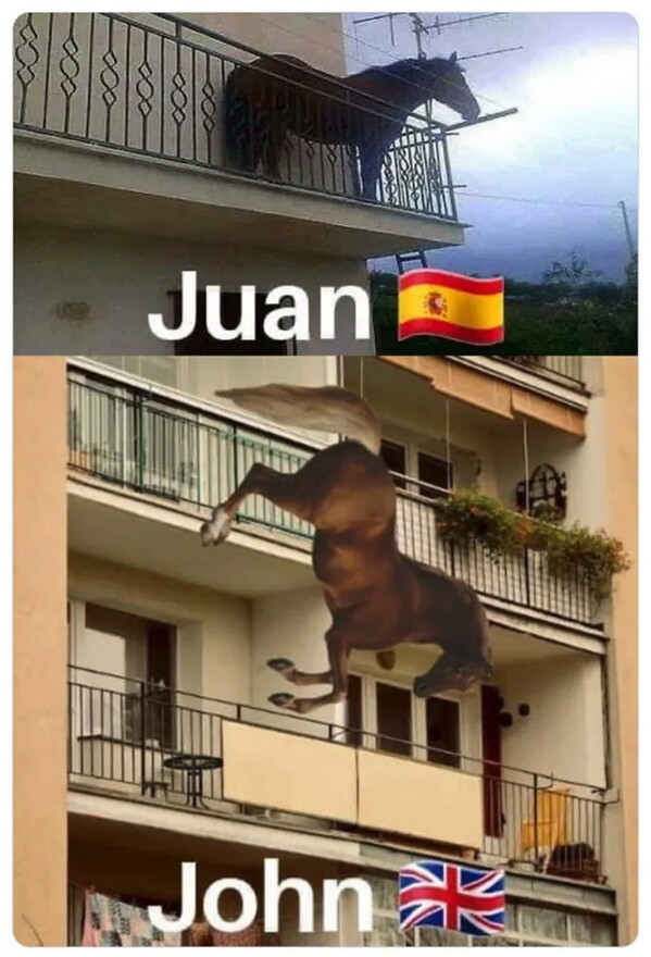 Meme_otros - Cómo distinguir a un caballo español de uno británico