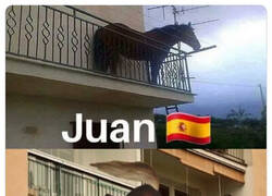 Enlace a Cómo distinguir a un caballo español de uno británico
