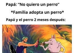 Enlace a Acaba siendo el que más se encariña