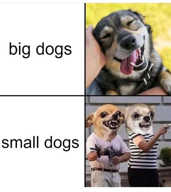 grandes,pequeños,perros,tamaño