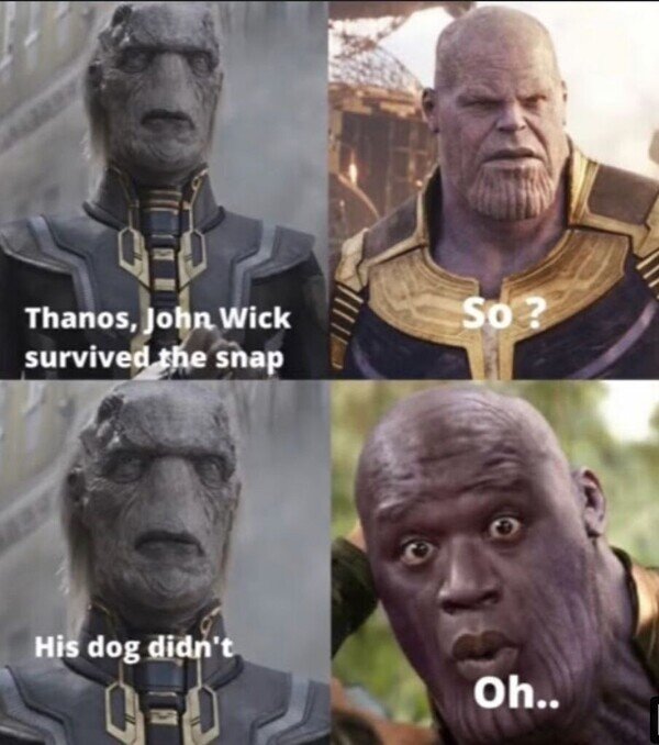 chasquido,John Wick,perro,Thanos