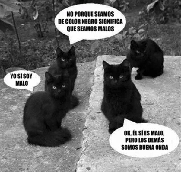 Otros - Los gatos negros no son malos