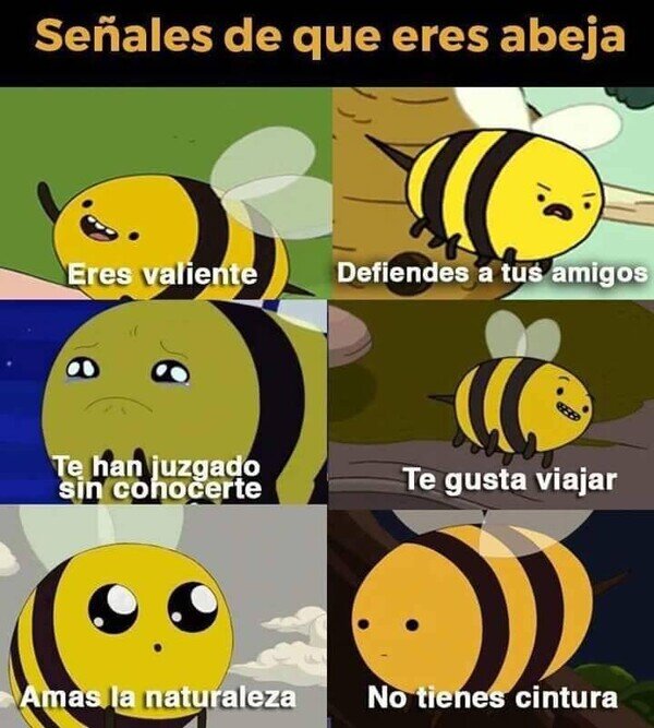 Meme_otros - ¿Y si soy una abeja?