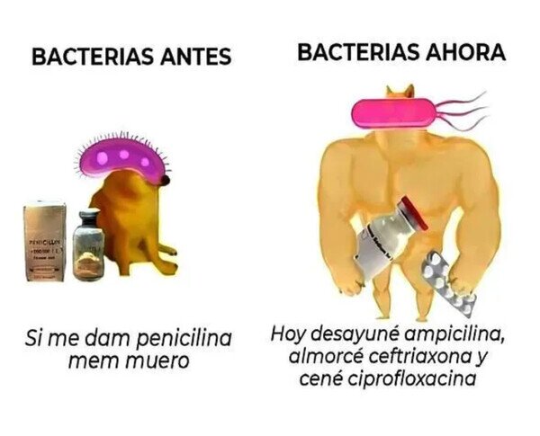 Meme_otros - Las bacterias evolucionan